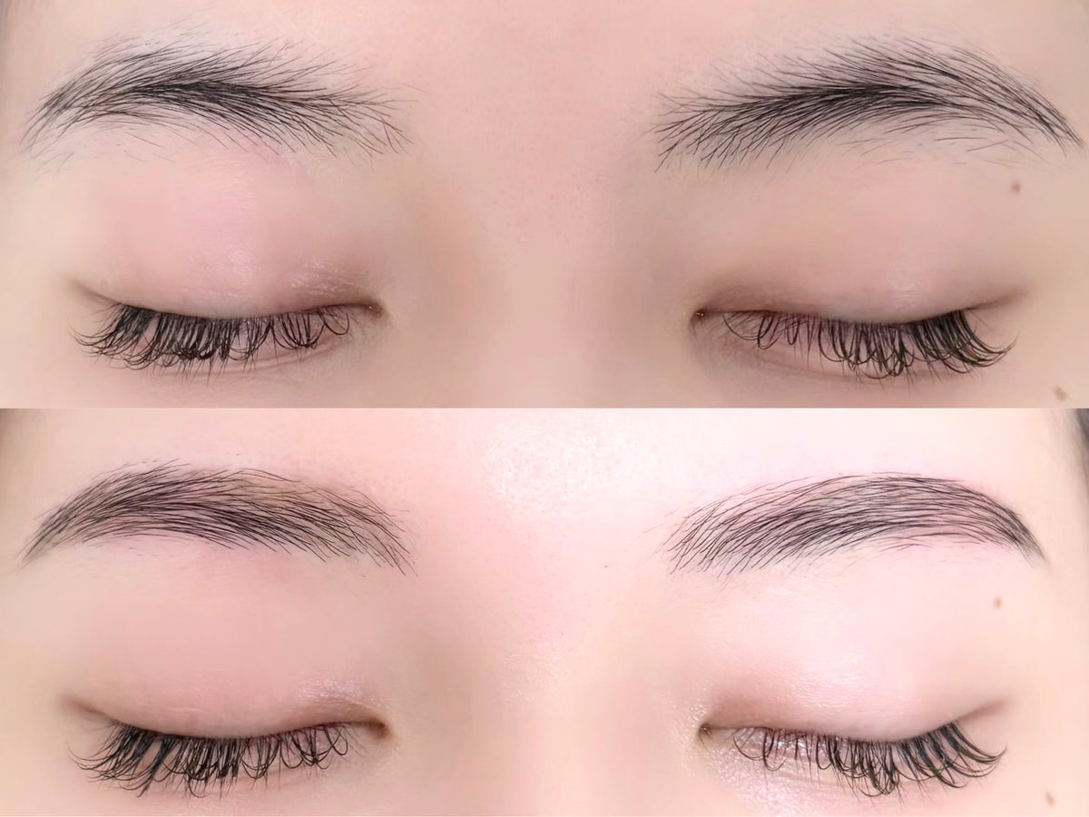 mayuge eyebrow eyebrowseminar