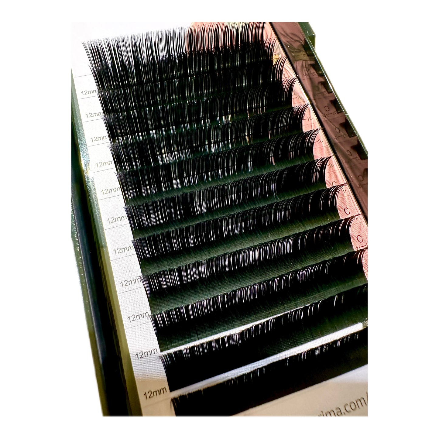 レシェリマ　レシェリマフラットラッシュ　フラットラッシュ　フラットラッシュブラック フラットラッシュ商材