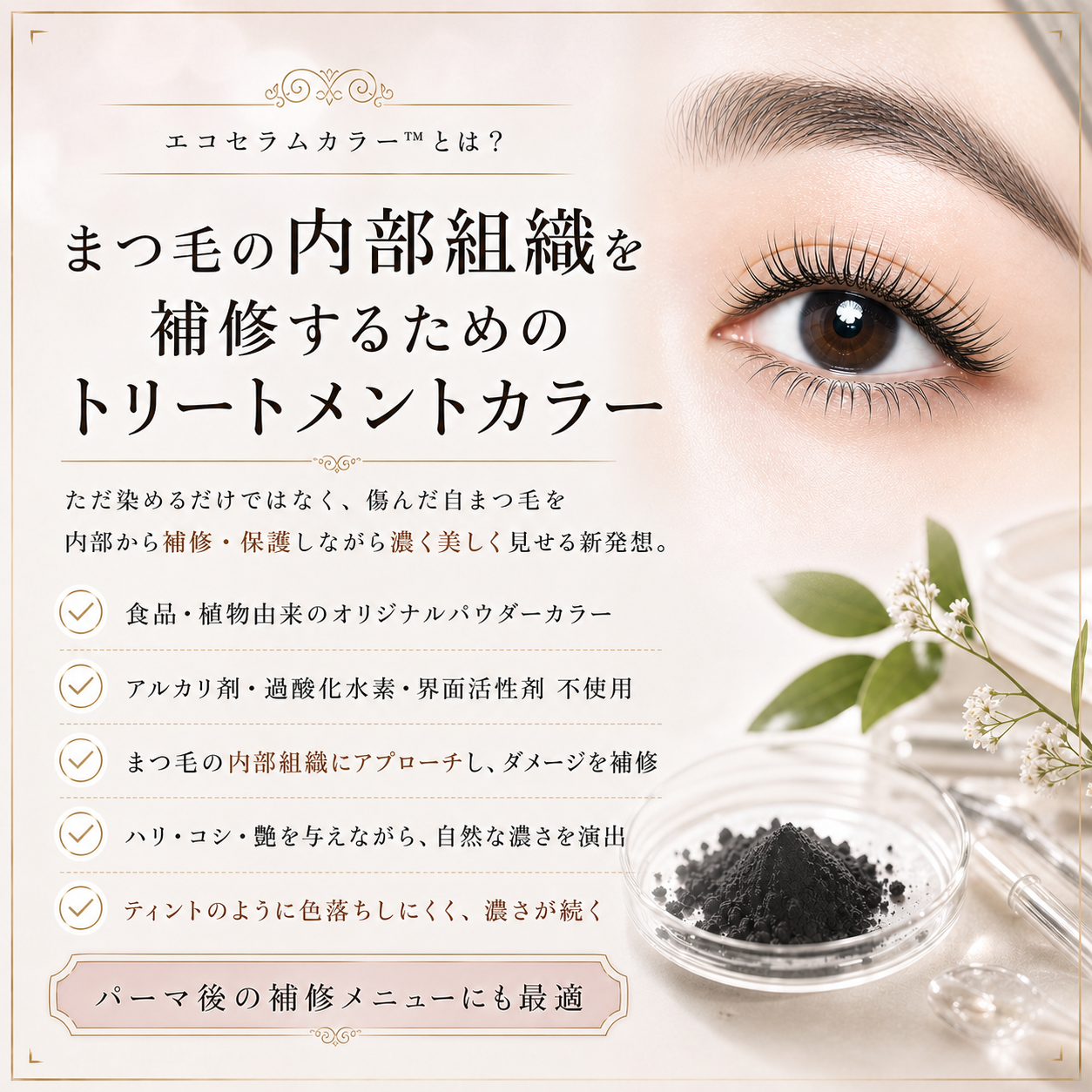 まつ毛業界の新提案｜エコセラムカラー™︎ 1Dayオンラインセミナー