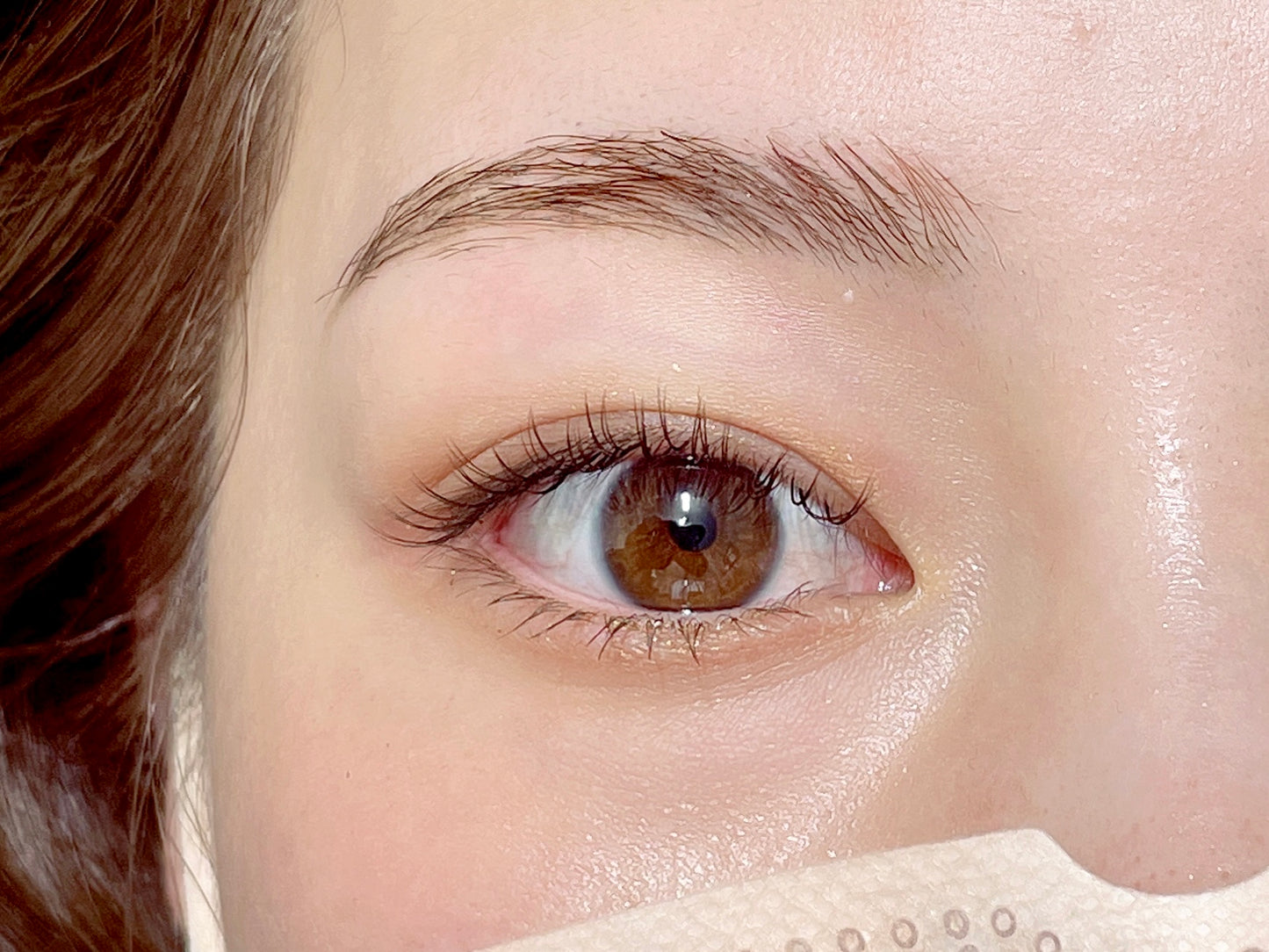 アイブロウセミナー　アイブロウリフト　アイブロウカラー